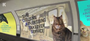gatos substituem propagandas em metrô